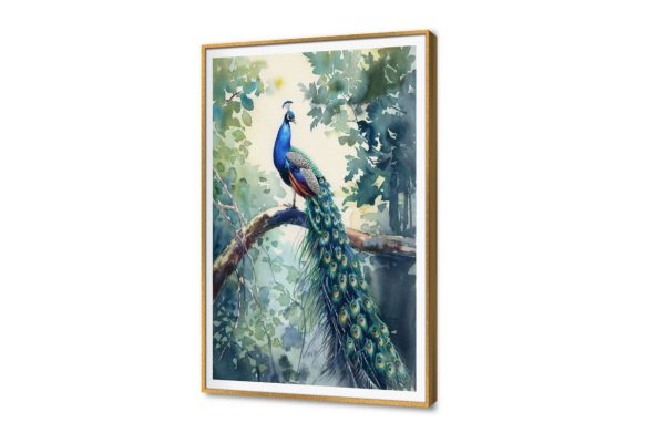 تابلوه مودرن -طاووس SA14829 كل التابلوهات المودرن, اوراق شجر - نباتات, طيور, حيوانات و طيور, ورود - زهور - نباتات اببيض - اوف وايت, اخضر - زيتى, ازرق - تركواز الوان مائية, كلاسيك – نيو كلاسيك, لوحات فنية, مودرن غرفة الاستقبال, غرفة المعيشة, مدخل المنزل فصل الربيع بالطول, ببرواز, برواز SF9, برواز ذهبى, مستطيل