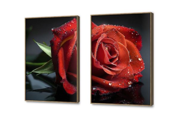 تابلوه مودرن وردة حمراء SA22420 كل التابلوهات المودرن, ورود - زهور - نباتات احمر - نبيتى, اسود, الوان داكنة بسيط و هادئ, صور فوتوغرافية, مودرن غرفة الاستقبال, غرفة المعيشة, غرفة النوم فصل الربيع بالطول, ببرواز, برواز خشبى, مستطيل