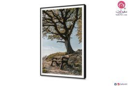 تابلوه مودرن - ببرواز أسود SA22148 ( كل التابلوهات المودرن), اشجار, غابات, مميزة و مختارة, مناظر طبيعية اخضر - زيتى, بنى - بيج صور فوتوغرافية, مودرن غرفة الاستقبال, غرفة المعيشة, مدخل المنزل, مكاتب – شركات - اعمال بالطول, ببرواز, برواز SF9, برواز اسود, مستطيل