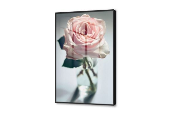 تابلوه ورد رومانسى SA23463 كل التابلوهات المودرن, ورود - زهور - نباتات اخضر - زيتى, بينك – فوشيا, رمادى بسيط و هادئ, صور فوتوغرافية, لوحات فنية, مودرن غرفة الاستقبال, غرفة المعيشة, غرفة النوم, مدخل المنزل, مكاتب – شركات - اعمال فصل الربيع اكريليك, بالطول, ببرواز, برواز اسود, مستطيل