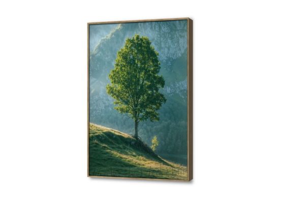 تابلوه مودرن - منظر طبيعي SA23493 كل التابلوهات المودرن, اشجار, مناظر طبيعية اخضر - زيتى صور فوتوغرافية, لوحات فنية, مودرن غرفة المعيشة, مكاتب – شركات - اعمال بالطول, ببرواز, برواز خشبى, مستطيل