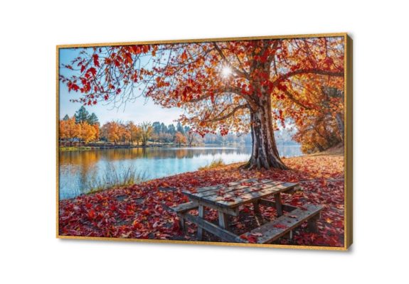 تابلوه مودرن - أوراق الخريف SA23589 كل التابلوهات المودرن, مزارع - حقول, مناظر طبيعية ازرق - تركواز, برتقالى صور فوتوغرافية, لوحات فنية, مودرن غرفة المعيشة, مدخل المنزل, مكاتب – شركات - اعمال فصل الخريف بالعرض, ببرواز, برواز ذهبى, مستطيل