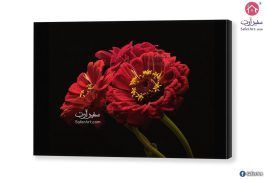 تابلوهات - وردة حمراء SA27355 تابلوهات مودرن احمر - نبيتى صور فوتوغرافية غرفة الاستقبال