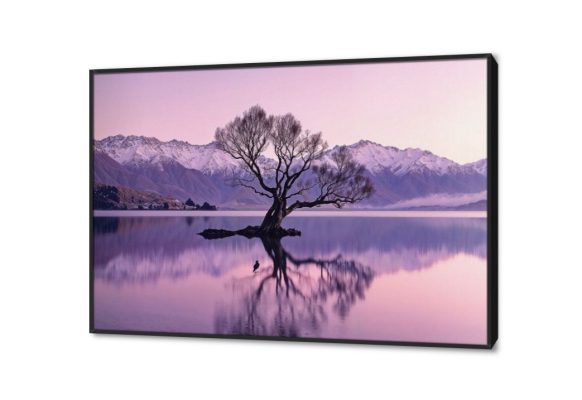 تابلوه منظر طبيعي SA28943 كل التابلوهات المودرن, اشجار, مناظر طبيعية اسود, موف – ارجوانى صور فوتوغرافية, مودرن غرفة الاستقبال, غرفة المعيشة, مدخل المنزل, مكاتب – شركات - اعمال وقت الضباب بالعرض, ببرواز, برواز اسود, مستطيل