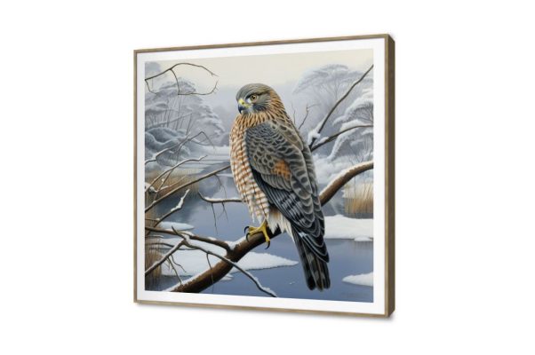 صقر على الشجرة لوحات ديكور SA42801 كل التابلوهات المودرن, طيور, حيوانات و طيور بنى - بيج, رمادى عتيق - فينتاج, لوحات فنية, مودرن غرفة الاستقبال, غرفة المعيشة, مدخل المنزل ببرواز, برواز SF9, برواز خشبى, مربع