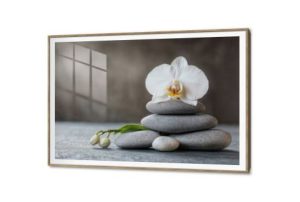 لوحات حائط احجار و زهرة اوركيد SA88672 كل التابلوهات المودرن, احجار و صخور, طبيعه صامتة ابيض - اوف وايت, بنى - بيج, رمادى صور فوتوغرافية, مودرن غرفة المعيشة, غرفه الغسيل - التويليت, مكاتب – شركات - اعمال اكريليك, بالعرض, ببرواز, برواز SF9, برواز خشبى, مستطيل