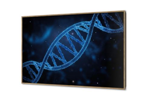 تابلوه مودرن الحمض النووي (DNA) SA88463 كل التابلوهات المودرن, اعمال و شركات, علوم, عيادات - طبيه - مستشفيات ازرق - تركواز, اسود, الوان داكنة ديجيتال آرت, مودرن, نيون ستايل مكاتب – شركات - اعمال بالعرض, ببرواز, برواز خشبى, مستطيل