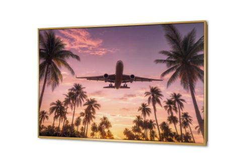 طائرة فوق مجموعة من أشجار النخيل SA89141 كل التابلوهات المودرن, اعمال و شركات, سياحة و سفر, طائرات, نخيل, سيارات – دراجات - مواصلات, مناظر طبيعية بينك – فوشيا, موف – ارجوانى صور فوتوغرافية, مودرن غرفة المعيشة, مكاتب – شركات - اعمال شروق - غروب بالعرض, ببرواز, برواز ذهبى, مستطيل