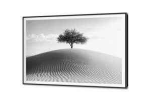 تابلوهات حائط الثبات و الامل SA88304 كل التابلوهات المودرن, اشجار, صحراء, مناظر طبيعية ابيض و اسود, اسود, اللون الواحد, رمادى تماثل - سيميترى, صور فوتوغرافية, مودرن غرفة الاستقبال, غرفة المعيشة, غرفة النوم, مدخل المنزل, مكاتب – شركات - اعمال بالعرض, ببرواز, برواز SF9, برواز اسود, مستطيل