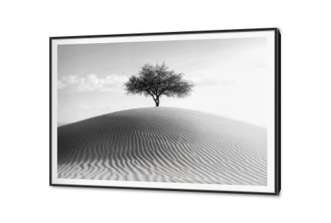 تابلوهات حائط الثبات و الامل SA88304 كل التابلوهات المودرن, اشجار, صحراء, مناظر طبيعية ابيض و اسود, اسود, اللون الواحد, رمادى تماثل - سيميترى, صور فوتوغرافية, مودرن غرفة الاستقبال, غرفة المعيشة, غرفة النوم, مدخل المنزل, مكاتب – شركات - اعمال بالعرض, ببرواز, برواز SF9, برواز اسود, مستطيل