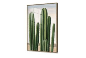 تابلوهات نباتات صبار عملاق SA91350 كل التابلوهات المودرن, نبات الصبار, ورود - زهور - نباتات اخضر - زيتى الوان زيتية - اكريليك, لوحات فنية, مودرن غرفة الاستقبال, غرفة المعيشة اكريليك, بالطول, برواز خشبى, مستطيل