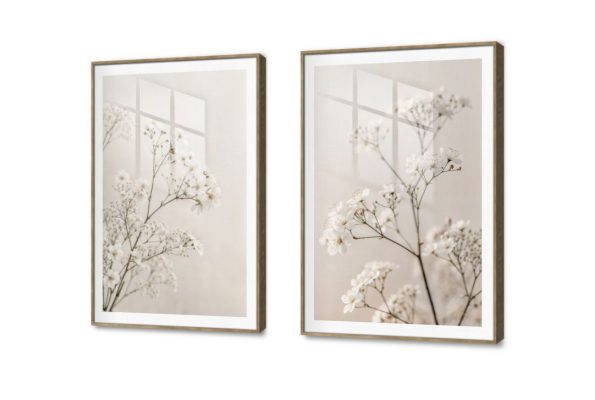 تابلوه مودرن كانفس الازهار البيضاء الرقيقة SA93323 ( كل التابلوهات المودرن), مميزة و مختارة, ورود , زهور و نباتات ابيض - اوف وايت, بنى - بيج بسيط و هادئ, بوهو ستايل, تماثل - سيميترى, صور فوتوغرافية, مودرن غرفة الاستقبال, غرفة المعيشة, غرفة النوم اكريليك, بالعرض, برواز SF9, برواز خشبى, مستطيل