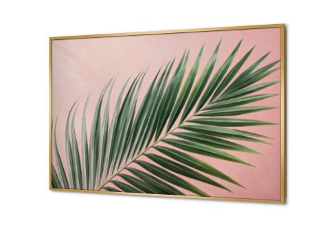 لوحة فنية لورقة نخيل خضراء بخلفية وردية SA94323 كل التابلوهات المودرن, نخيل, مناظر طبيعية اخضر - زيتى, اللون الواحد, بينك – فوشيا, درجات الباستيل بسيط و هادئ, ديجيتال آرت, صور فوتوغرافية, مودرن غرفة الاستقبال, غرفة المعيشة, غرفة النوم اجازة الصيف بالعرض, ببرواز, برواز ذهبى, مستطيل