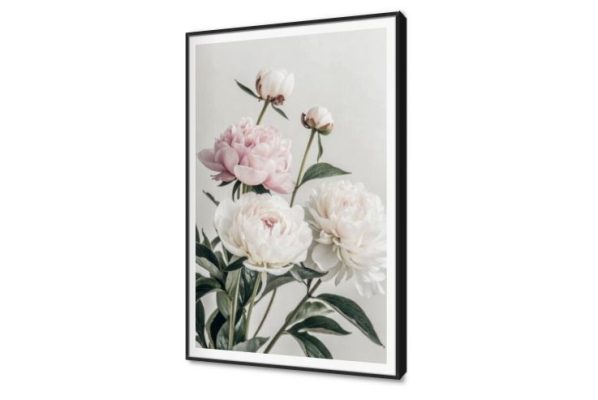 تابلوهات ديكور زهور الفاوانيا البيضاء والوردية الرقيقة SA95395 كل التابلوهات المودرن, اوراق شجر - نباتات, ورود - زهور - نباتات ابيض - اوف وايت, اخضر - زيتى, بينك – فوشيا, درجات الباستيل بسيط و هادئ, بوهو ستايل, ديجيتال آرت, صور فوتوغرافية, مودرن غرفة الاستقبال, غرفة المعيشة, غرفة النوم, غرفة بنات, مدخل المنزل, مكاتب – شركات - اعمال فصل الربيع بالطول, ببرواز, برواز SF9, برواز اسود, مستطيل