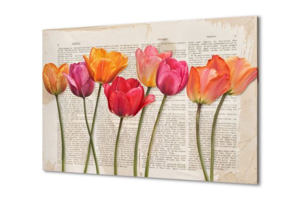 لوحة فنية لزهور التوليب الملونة على صفحة كتاب SA95856 كل التابلوهات المودرن, English Text & Quotes, طبيعه صامتة, ورود - زهور - نباتات احمر - نبيتى, برتقالى, بنى - بيج, بينك – فوشيا, قوى و زاهى, متعدد الالوان بسيط و هادئ, ديجيتال آرت, عتيق - فينتاج, كتابات و حروف, مودرن غرفة الاستقبال, غرفة المعيشة, غرفة النوم, غرفة بنات, مدخل المنزل, مكاتب – شركات - اعمال بالعرض, مستطيل