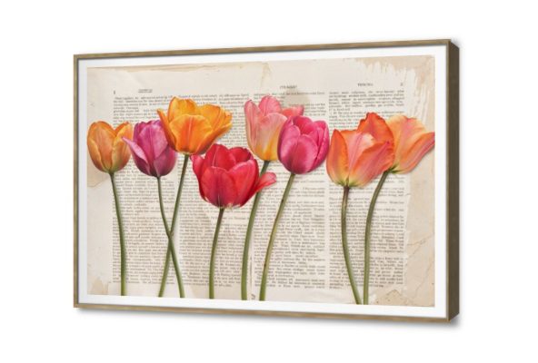 لوحة فنية لزهور التوليب الملونة على صفحة كتاب SA95856 كل التابلوهات المودرن, مميزة و مختارة, English Text & Quotes, ورود - زهور - نباتات احمر - نبيتى, برتقالى, بنى - بيج, بينك – فوشيا, قوى و زاهى, متعدد الالوان بسيط و هادئ, ديجيتال آرت, عتيق - فينتاج, كتابات و حروف, لوحات فنية, مودرن غرفة الاستقبال, غرفة المعيشة, غرفة النوم, غرفة بنات, مدخل المنزل, مكاتب – شركات - اعمال فصل الربيع بالعرض, ببرواز, برواز SF9, برواز خشبى, مستطيل