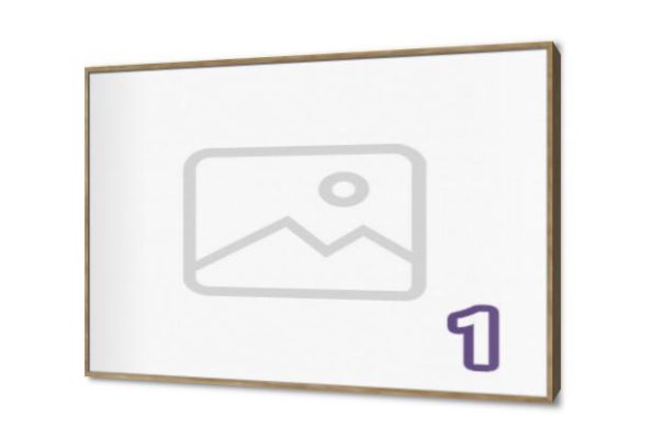 SAL1 تصميم خاص SA100532 طلبات خاصة