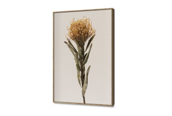 تابلوه مودرن كانفاس يبرز جمال زهرة جافة SA102293 كل التابلوهات المودرن, ورود - زهور - نباتات اخضر - زيتى, اصفر, بنى - بيج بسيط و هادئ, بوهو ستايل, صور فوتوغرافية, عتيق - فينتاج, مودرن غرفة الاستقبال, غرفة المعيشة, غرفة النوم, مدخل المنزل, مكاتب – شركات - اعمال فصل الخريف بالطول, ببرواز, برواز خشبى, مستطيل