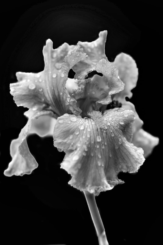 Single Product 3D preview SA Single Product 3D preview SA