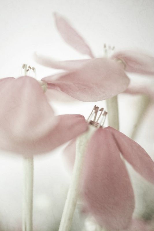 Single Product 3D preview SA