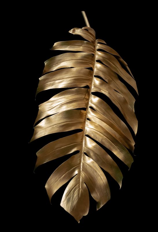 Single Product 3D preview SA