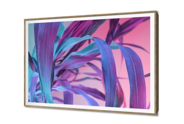 تابلوه مودرن كانفاس لأوراق نباتات ملونة وجذابة SA102975 كل التابلوهات المودرن, اوراق شجر - نباتات, ورود - زهور - نباتات ازرق - تركواز, بينك – فوشيا, موف – ارجوانى ديجيتال آرت, صور فوتوغرافية, لوحات فنية, مودرن غرفة الاستقبال, غرفة المعيشة, غرفة النوم, غرفة بنات, مكاتب – شركات - اعمال بالعرض, ببرواز, برواز SF9, برواز خشبى, مستطيل