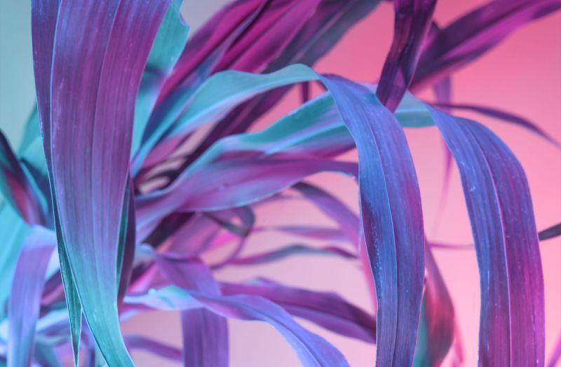 Single Product 3D preview SA