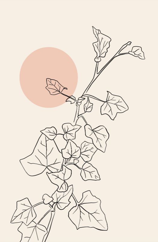 Single Product 3D preview SA