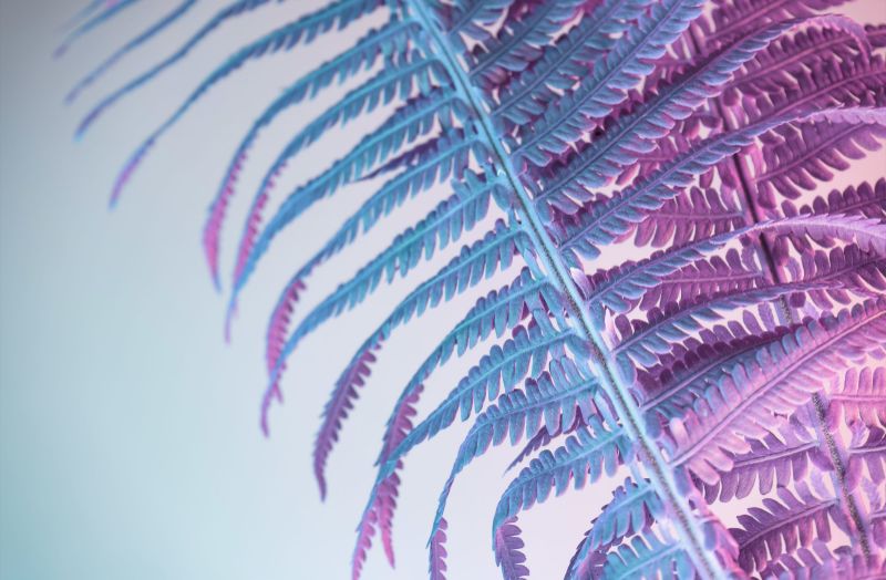 Single Product 3D preview SA