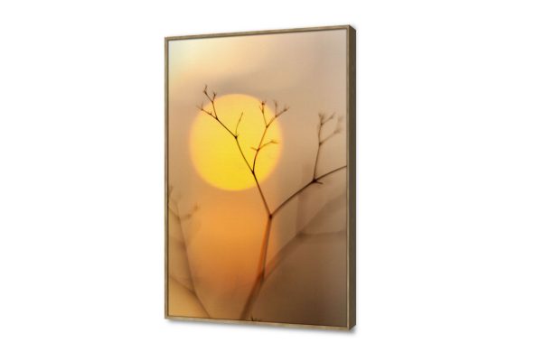 لوحات فنية تجريدية بسيطة للشمس والأغصان الذهبية SA105022 كل التابلوهات المودرن, مناظر طبيعية اصفر, برتقالى, بنى - بيج بسيط و هادئ, صور فوتوغرافية, مودرن غرفة الاستقبال, غرفة المعيشة, غرفة النوم, مدخل المنزل, مكاتب – شركات - اعمال شروق - غروب بالطول, ببرواز, برواز خشبى, مستطيل