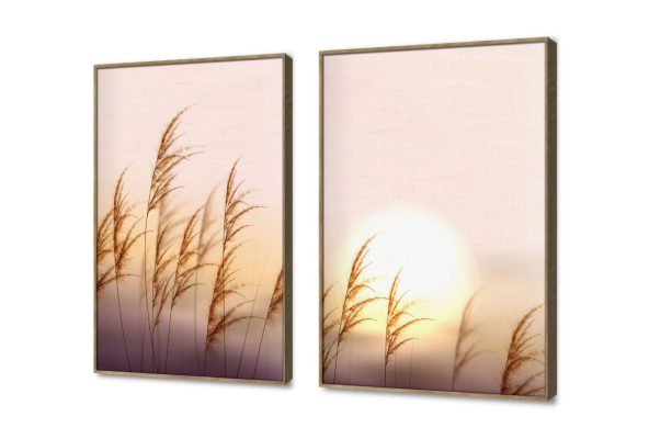لوحات فنية لغروب الشمس الساحر مع سنابل القمح SA105346 اوراق شجر - نباتات, كل التابلوهات المودرن, مناظر طبيعية, ورود - زهور - نباتات ابيض - اوف وايت, اصفر, برتقالى, بنى - بيج بسيط و هادئ, صور فوتوغرافية, مودرن غرفة الاستقبال, غرفة المعيشة, غرفة النوم, مدخل المنزل, مكاتب – شركات - اعمال شروق - غروب بالعرض, ببرواز, برواز خشبى, مستطيل