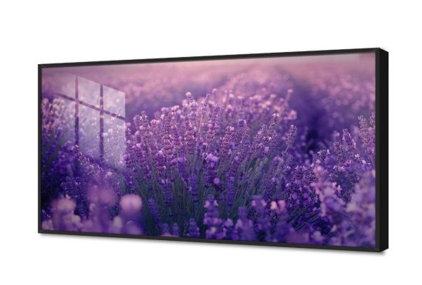 تابلوه مودرن كانفاس حقول اللافندر البنفسجية الرائعة SA105352 مزارع - حقول, كل التابلوهات المودرن, مناظر طبيعية, ورود - زهور - نباتات بينك – فوشيا, درجات الباستيل, موف – ارجواني بسيط و هادئ, صور فوتوغرافية, مظهر بارز, مودرن غرفة الاستقبال, غرفة المعيشة, غرفة النوم, مدخل المنزل, مكاتب – شركات - اعمال شروق - غروب, فصل الربيع اكريليك, بالعرض, ببرواز, برواز اسود, مستطيل