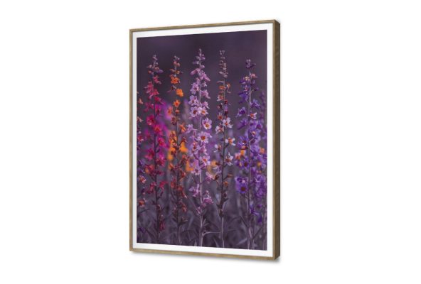 لوحات فنية لزهور برية ملونة لديكور المنزل SA105362 اوراق شجر - نباتات, كل التابلوهات المودرن, ورود - زهور - نباتات الوان داكنة, برتقالى, بينك – فوشيا, موف – ارجوانى بسيط و هادئ, صور فوتوغرافية, مودرن غرفة الاستقبال, غرفة المعيشة, غرفة النوم, غرفة بنات, مدخل المنزل, مكاتب – شركات - اعمال فصل الربيع بالطول, ببرواز, برواز SF9, برواز خشبى, مستطيل