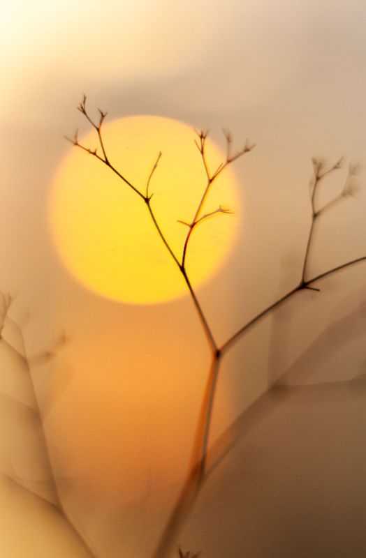 Single Product 3D preview SA