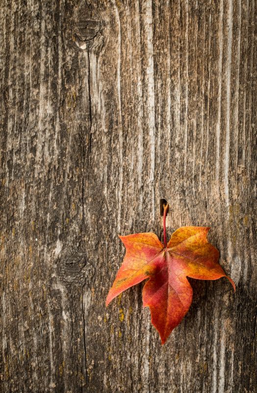 Single Product 3D preview SA