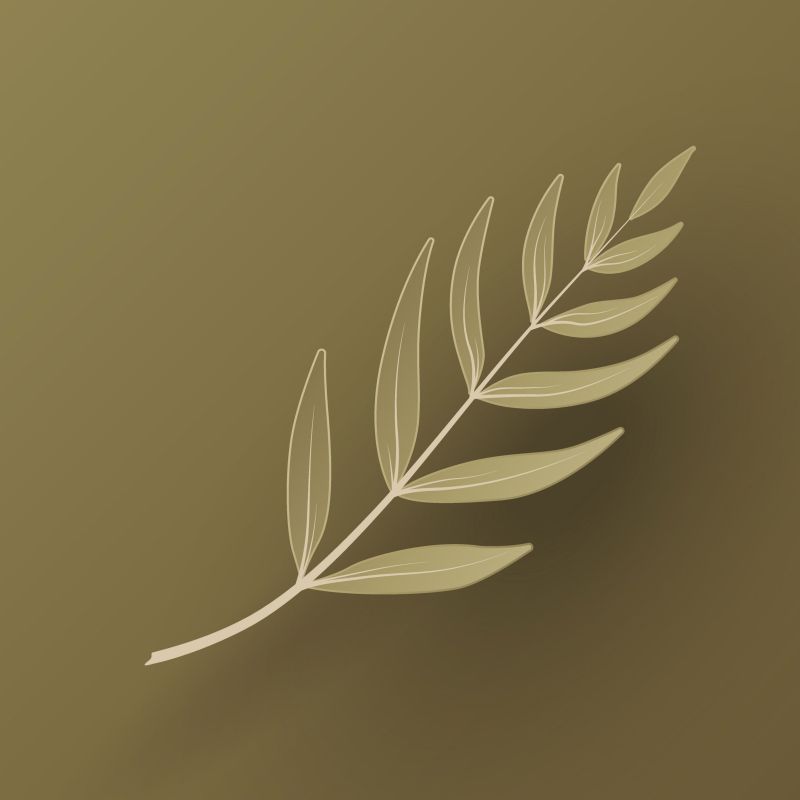 Single Product 3D preview SA