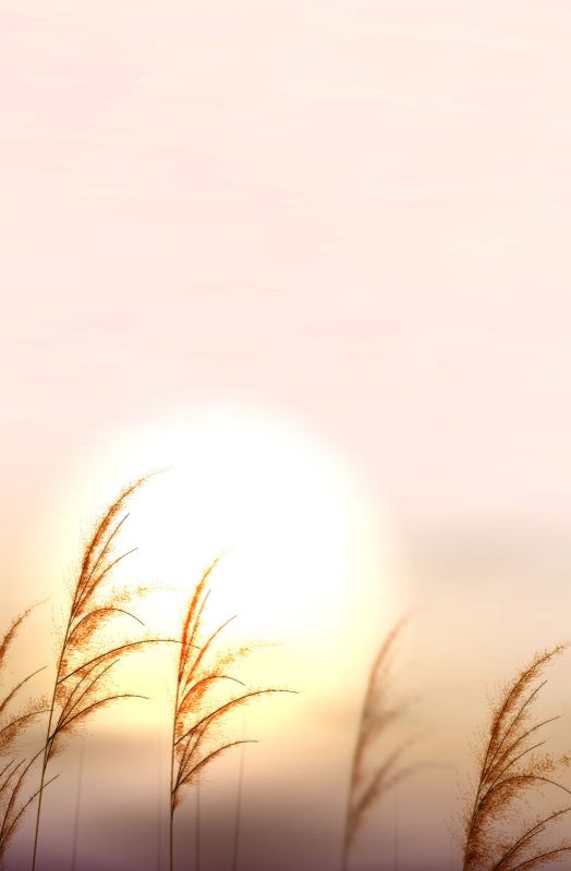 Single Product 3D preview SA