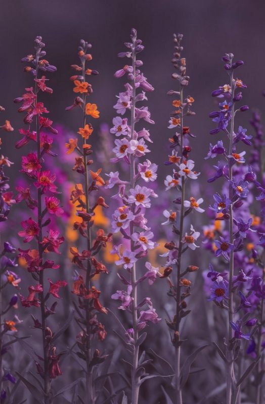 Single Product 3D preview SA