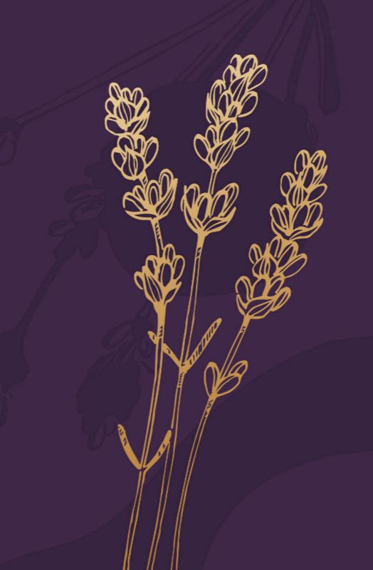 Single Product 3D preview SA