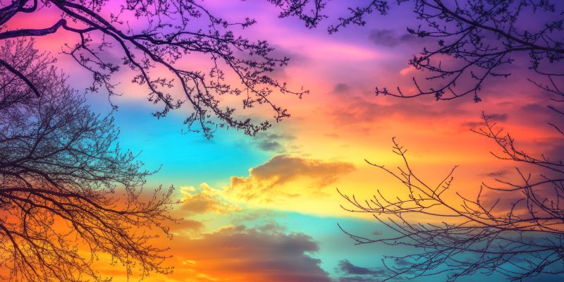 Single Product 3D preview SA