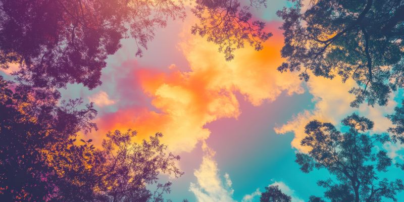 Single Product 3D preview SA