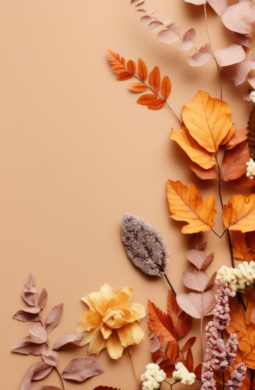 Single Product 3D preview SA