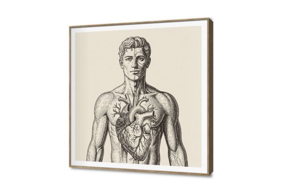 تابلوه مودرن بتصميم تشريحي لجسم الإنسان SA108215 كل التابلوهات المودرن, اعمال و شركات, عيادات - طبيه - مستشفيات ابيض - اوف وايت, اسود ديجيتال آرت, مودرن مكاتب – شركات - اعمال ببرواز, برواز SF9, برواز خشبى, مربع