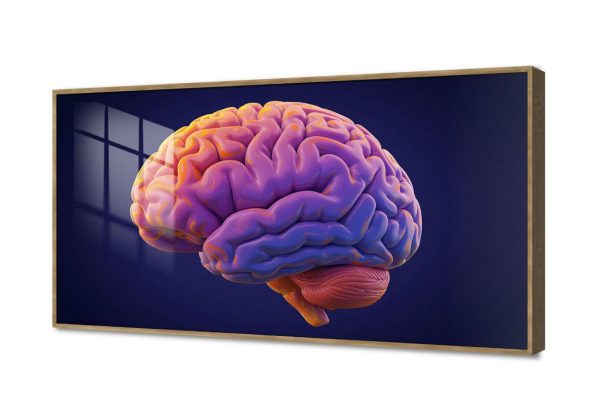 تابلوه مودرن بتصميم تشريحي لعقل الإنسان SA107397 كل التابلوهات المودرن, اعمال و شركات, عيادات - طبيه - مستشفيات اصفر, الوان داكنة, موف – ارجوانى الستريشن - فيكتور, مودرن مكاتب – شركات - اعمال اكريليك, بالعرض, ببرواز, برواز خشبى, مستطيل