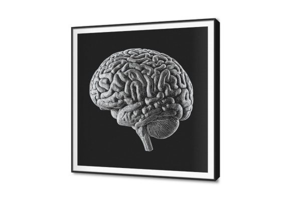 تابلوه مودرن بتصميم تشريحي لعقل الإنسان SA107410 كل التابلوهات المودرن, اعمال و شركات, عيادات - طبيه - مستشفيات اسود, اللون الواحد, الوان داكنة, رمادى صور فوتوغرافية, مودرن مكاتب – شركات - اعمال ببرواز, برواز SF9, برواز اسود, مربع
