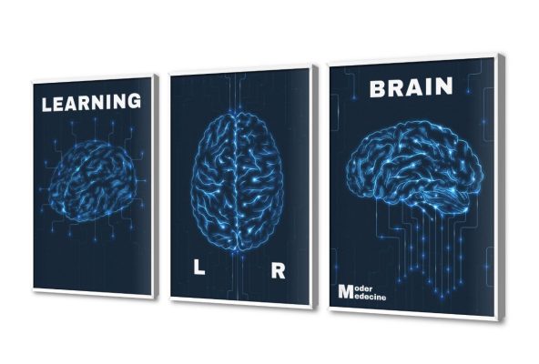 تابلوه مودرن كانفاس لدماغ الانسان العلمي SA107433 كل التابلوهات المودرن, اعمال و شركات, عيادات - طبيه - مستشفيات ازرق - تركواز, اسود, الوان داكنة ديجيتال آرت, قابل للتعديل, كتابات و حروف, مودرن مكاتب – شركات - اعمال بالعرض, ببرواز, برواز ابيض, مستطيل