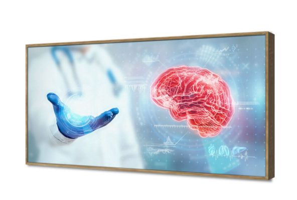 تابلوه مودرن طبى لتشريح المخ البشري SA107445 كل التابلوهات المودرن, اعمال و شركات, عيادات - طبيه - مستشفيات ابيض - اوف وايت, ازرق - تركواز ديجيتال آرت, مودرن مكاتب – شركات - اعمال بالعرض, ببرواز, برواز خشبى, مستطيل