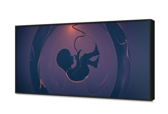 تابلوه مودرن كانفاس لجنين داخل الرحم SA108886 كل التابلوهات المودرن, اعمال و شركات, عيادات - طبيه - مستشفيات اسود, الوان داكنة, موف – ارجوانى ديجيتال آرت, مودرن مكاتب – شركات - اعمال بالعرض, ببرواز, برواز اسود, مستطيل