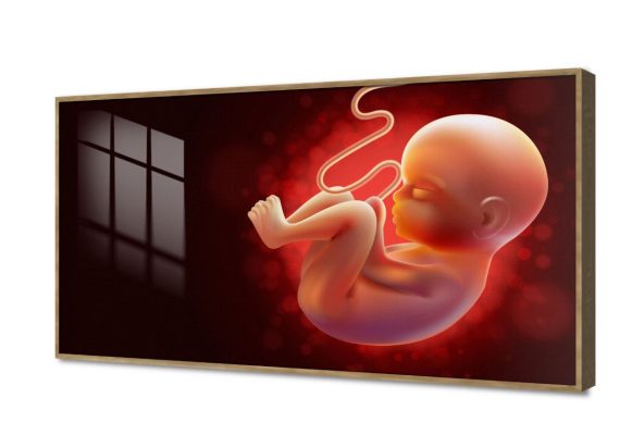تابلوه مودرن كانفاس يجسد معجزة الحياة SA108948 كل التابلوهات المودرن, اعمال و شركات, عيادات - طبيه - مستشفيات احمر - نبيتى, اسود, اللون الواحد ديجيتال آرت, مودرن مكاتب – شركات - اعمال اكريليك, بالعرض, ببرواز, برواز خشبى, مستطيل