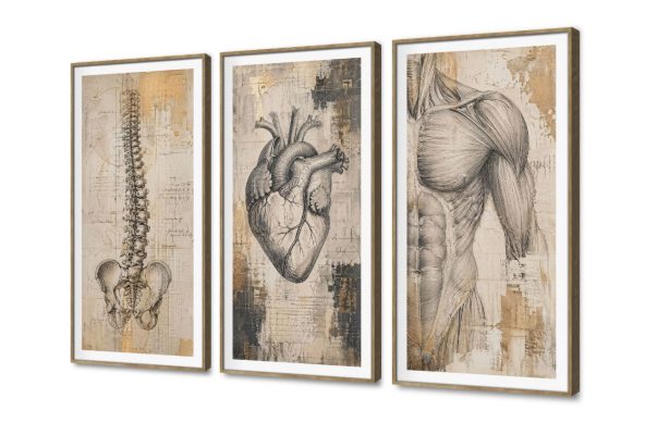 تابلوه مودرن كانفاس بتصميم تشريح جسم الإنسان SA109106 كل التابلوهات المودرن, اعمال و شركات, عيادات - طبيه - مستشفيات ابيض - اوف 와يت, اسود, اصفر, رمادى ديجيتال آرت, لوحات فنية, مودرن مكاتب – شركات - اعمال بالعرض, ببرواز, برواز SF9, برواز خشبى
